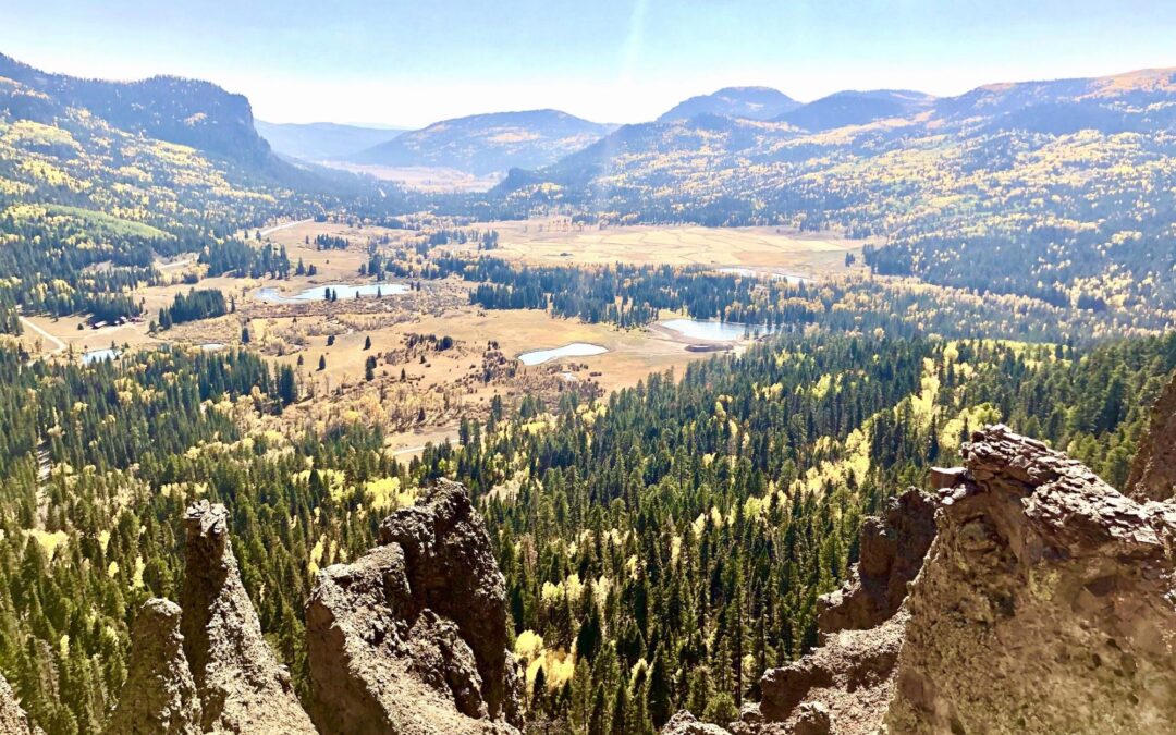 Things I’ve Heard In Meetings