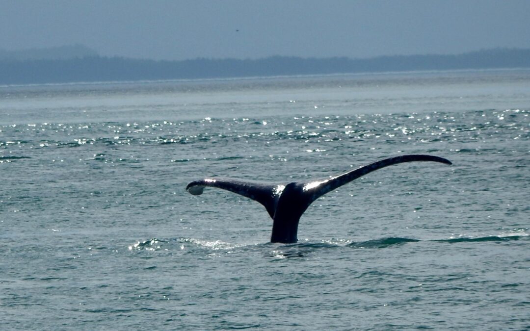 Crafting A Proposal, Part 1