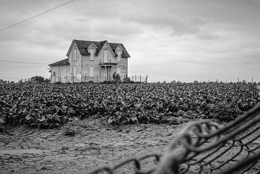 The Selfish Empty Nest