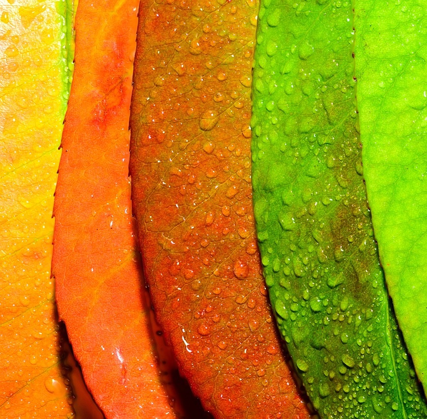 We were all profoundly affected by the dysfunction