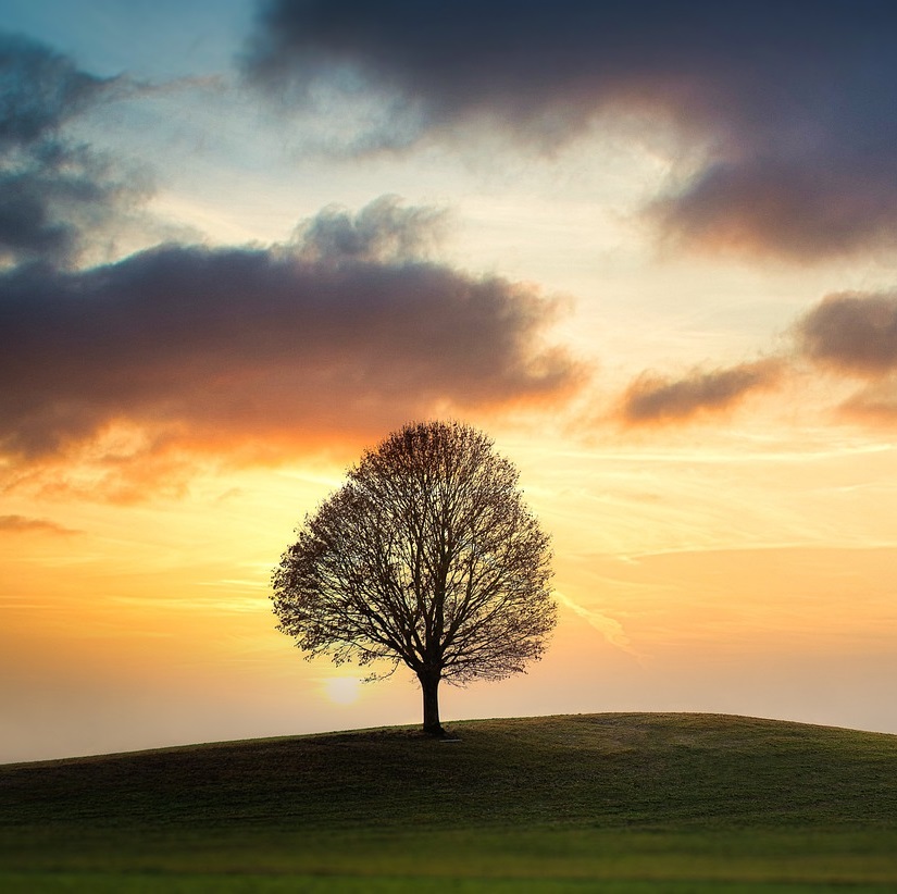 We were all profoundly affected by the dysfunction