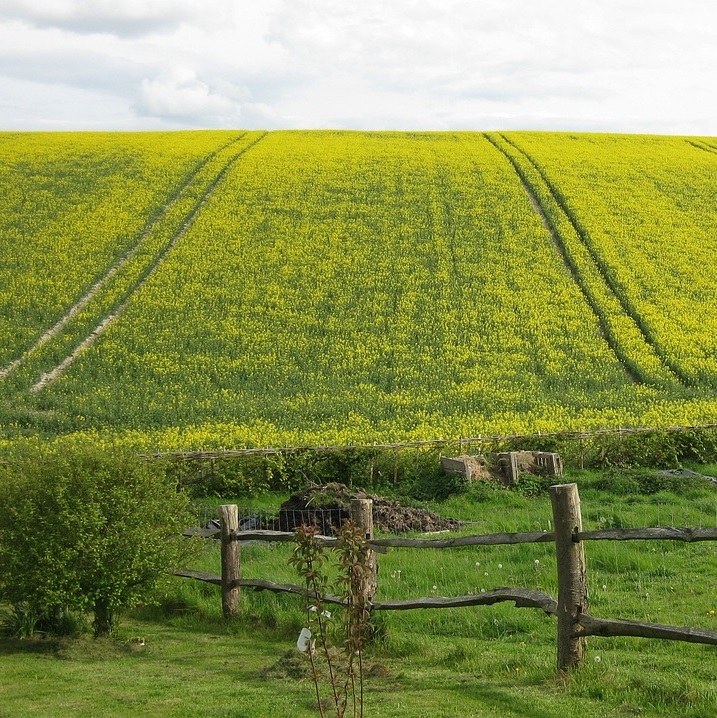 We were all profoundly affected by the dysfunction