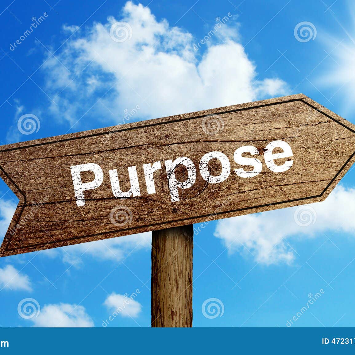 We were all profoundly affected by the dysfunction